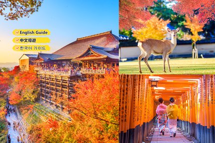 Kiyomizu-Tempel, Fushimi-Inari-Schrein, Nara-Park aus Osaka/Kyoto