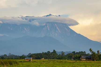 Kota Kinabalu : Private Kundasang and Poring Hot Spring Tour 