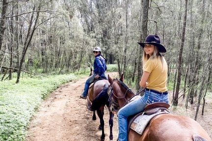 Horseback Bushland Trail Ride in Hunter Valley