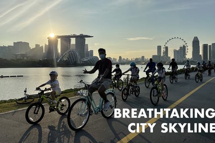 Alquiler de bicicletas en Marina Bay