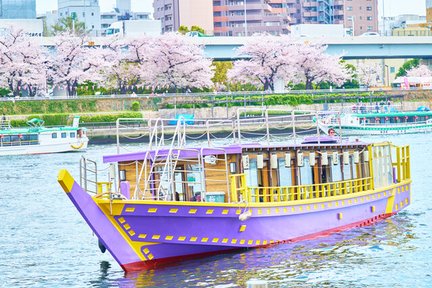 Expérience touristique en péniche dans la baie de Tokyo avec une cuisine japonaise