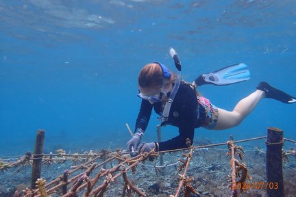 Eco Friendly Snorkeling Experience at Nusa Penida