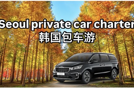 Seoul and Suburbs Private Car Charter Tour 