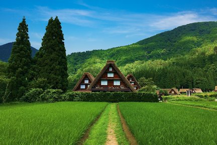 Shirakawago & Hida Takayama One Day Bus Tour dari Nagoya