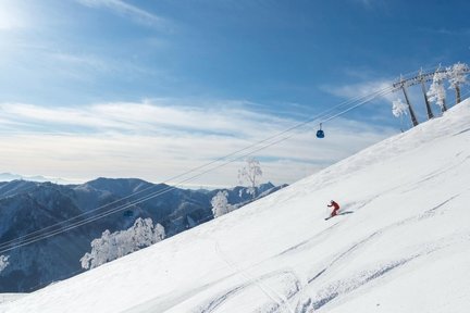 Yuzawa GALA/Naeba Ski Resort 1-Day Charter Car Tour (from Tokyo)