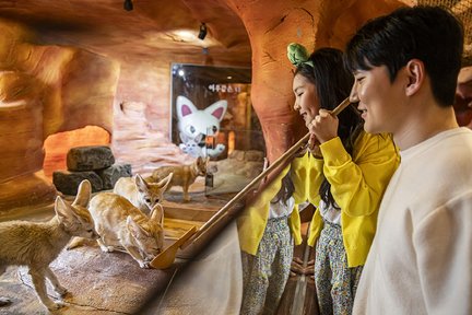 Eintrittskarte für den Indoor-Tier-Themenpark Seoul Zoolung Zoolung