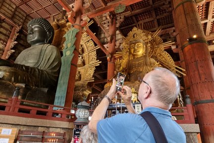 Nara City, Todaiji Temple & Naramachi Brewery Half Day Tour