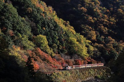 Arashiyama Tour with Optional Sagano Romantic Train Ride