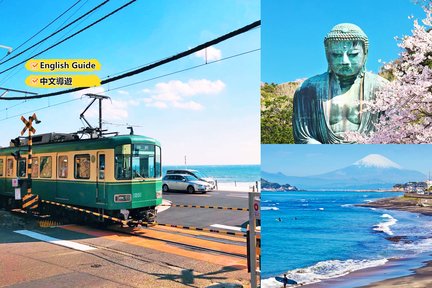 Tour di un giorno del tempio di Kotoku-in e di Enoshima da Tokyo