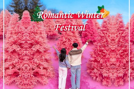 Romantic Winter Festival Tour from Seoul 