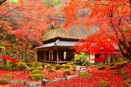 Autumn Leaves Season | Hieisan Enryakuji Temple & Kyorinbo & Hachiman Cruise Day Tour for Fall Leaves Viewing | (Departing from Osaka/Kyoto)