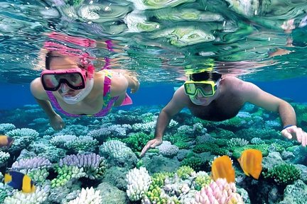 Snorkeling Experience in Nusa Penida (4 Snorkeling Spots)