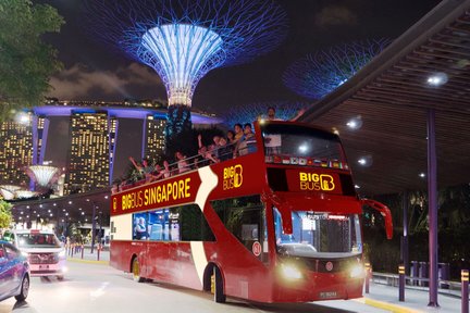 Tour notturno della città di Big Bus Singapore