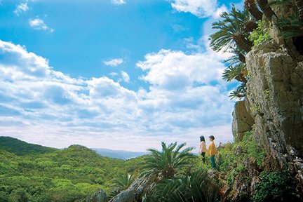 沖縄本島を1日で満喫！日帰りツアー (美ら海水族館（OP）＋古宇利島＋万座毛 ほか)