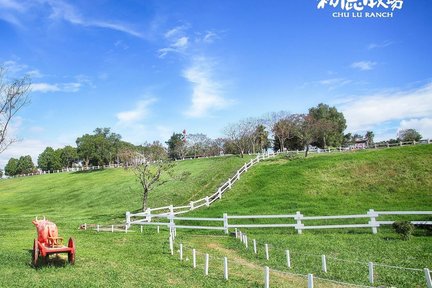 Vé Trang Trại Chu Lu ở Đài Đông (Taitung)