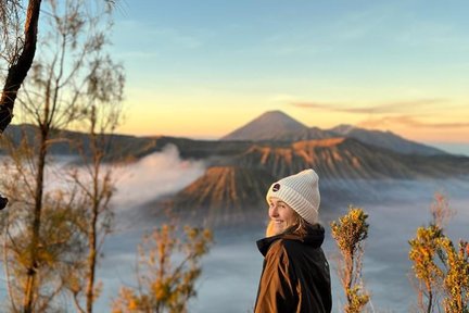 Multiday Tour Mount Bromo Sunrise and Ijen from Surabaya or Malang