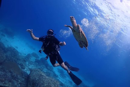 Explore Scuba diving at Racha Yai Island From Phuket