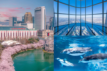 首爾樂天世界 & 首爾天空城市熱門景點 & 探險一日遊