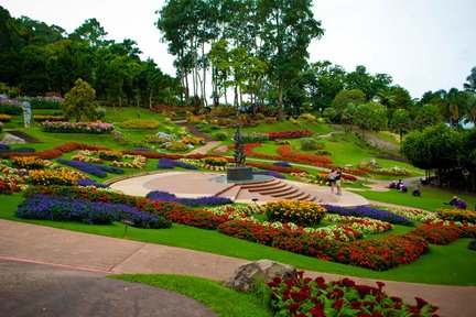 Wat Phra That Doi Tung and Doi Tung Royal Villa Half Day Tour from Chiang Rai