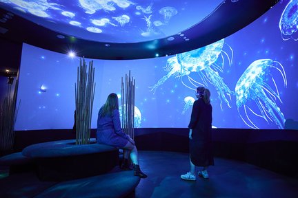 シーライフメルボルン水族館 入館チケット