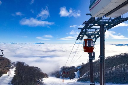 Takasu Snow Park & Dynaland Ski Resort Common Lift Ticket in Gifu