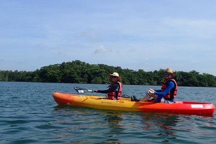 Round Ketam Kayaking Adventure in Pulau Ubin Singapore