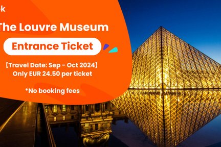 The Louvre Museum Ticket in Paris