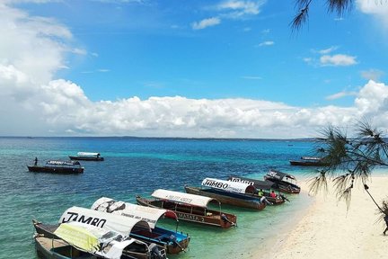 Visite de l'île-prison de Zanzibar avec déjeuner sur le banc de sable