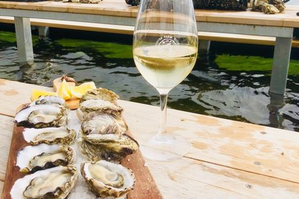 Oyster Farm Tour and Tasting with Guide from Port Lincoln