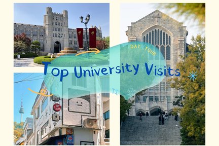 Top University Visits and Korean Cultural Immersion One-Day Tour