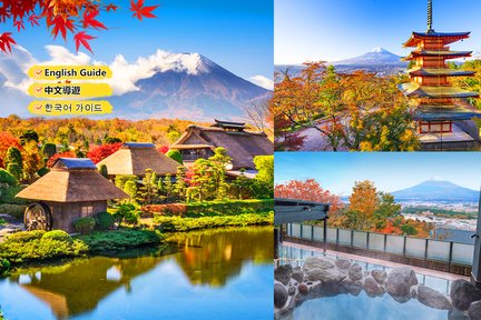 Excursion d'une journée au mont Fuji, aux magasins d'usine Oshino Hakkai et aux sources chaudes de Gotemba (au départ de Tokyo)