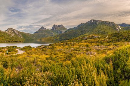 Excursion d'une journée au parc national de Cradle Mountain au départ de Launceston