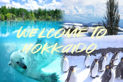 Tour Sở Thú Hokkaido Asahiyama với Tuỳ Chọn Ăn Dưa Thoả Thích