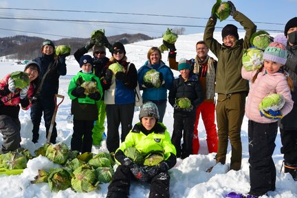 ผจญภัยเก็บเกี่ยวผักกาดฤดูหนาว & ปิกนิกหิมะในฟุราโนะ (Furano) ฮอกไกโด (Hokkaido)