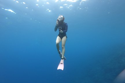 Kursus Lesen Penyelam Snorkel 1 Hari di Okinawa