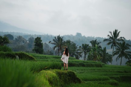 Tour Riêng Chụp Ảnh Check In Ubud Trọn Gói Trong Ngày