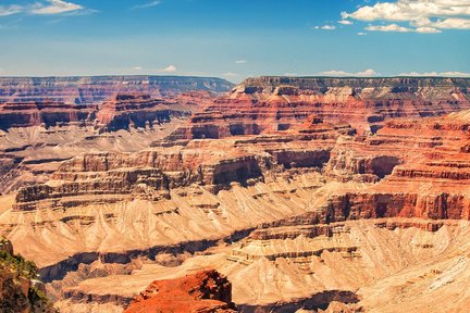 Excursión de un día en autobús por el borde sur del Gran Cañón desde Las Vegas con mejoras opcionales