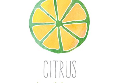 会安 Citrus Health Spa & Massage 体验