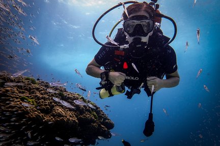 Pengalaman Skuba Kali Pertama di Phuket dengan PADI 5 Star Dive Center