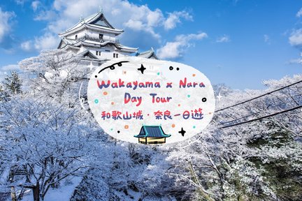 Nara, Todaiji Temple & Kuroshio Market One Day Tour from Osaka