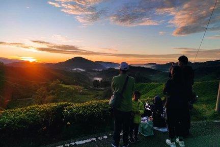 苔藓森林日出登山健行之旅