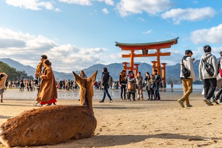 廣島宮島一日遊（含渡輪）