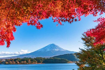 【富士山經典景點一日遊】河口湖、新倉山淺間公園、日川時計店及忍野八海探索之旅（東京出發，精品小團，酒店接送可選）