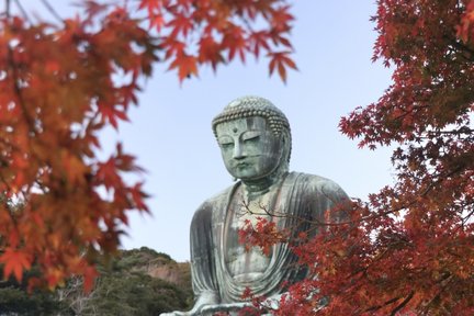 Visite privée à pied d'une demi-journée à Kamakura