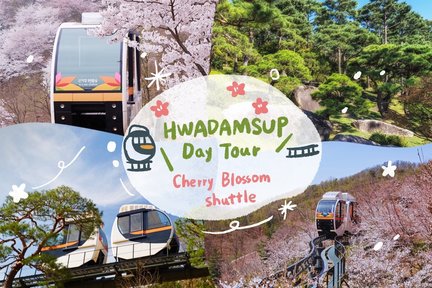 Hwadamsup & Luge & Korean Folk Village One Day Tour dari Seoul