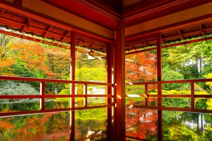 【滋贺深度游】美秀美术馆・旧竹林院or比叡山神社・琵琶湖白须神社水上鸟居（大阪 / 京都往返）