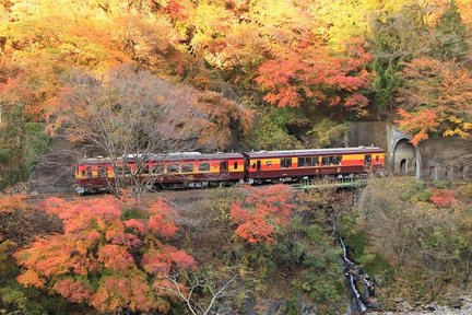 Lawatan Sehari Musim Luruh Watarase Valley & Takatsudo Gorge dari Tokyo