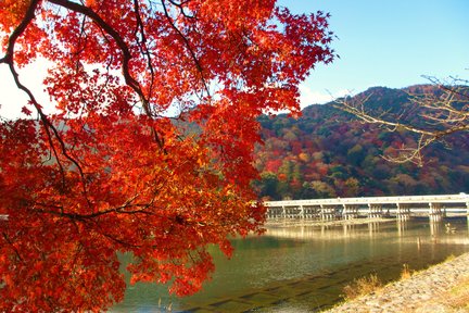 Kyoto Tenryu-ji, Arashiyama Bamboo Grove & Kinkaku-ji Day Tour