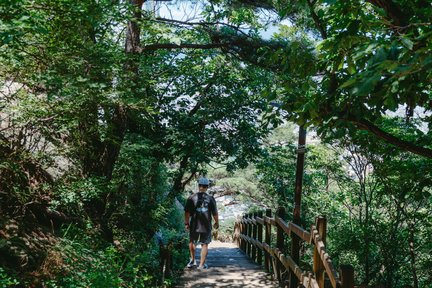 Provincial Hike Tour From Busan