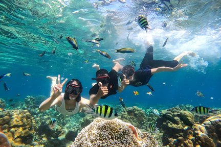 Lawatan Selam Snorkel di Gili Air Island, Lombok